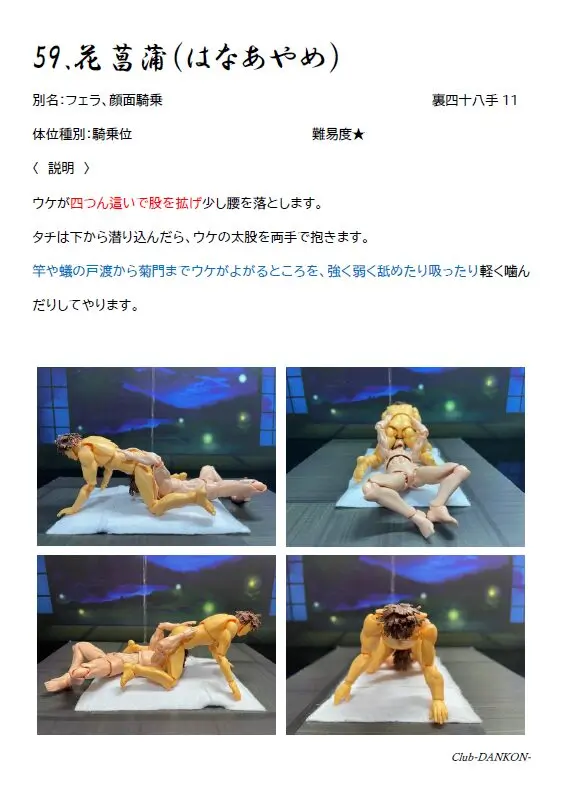 花菖蒲の体位の解説画像